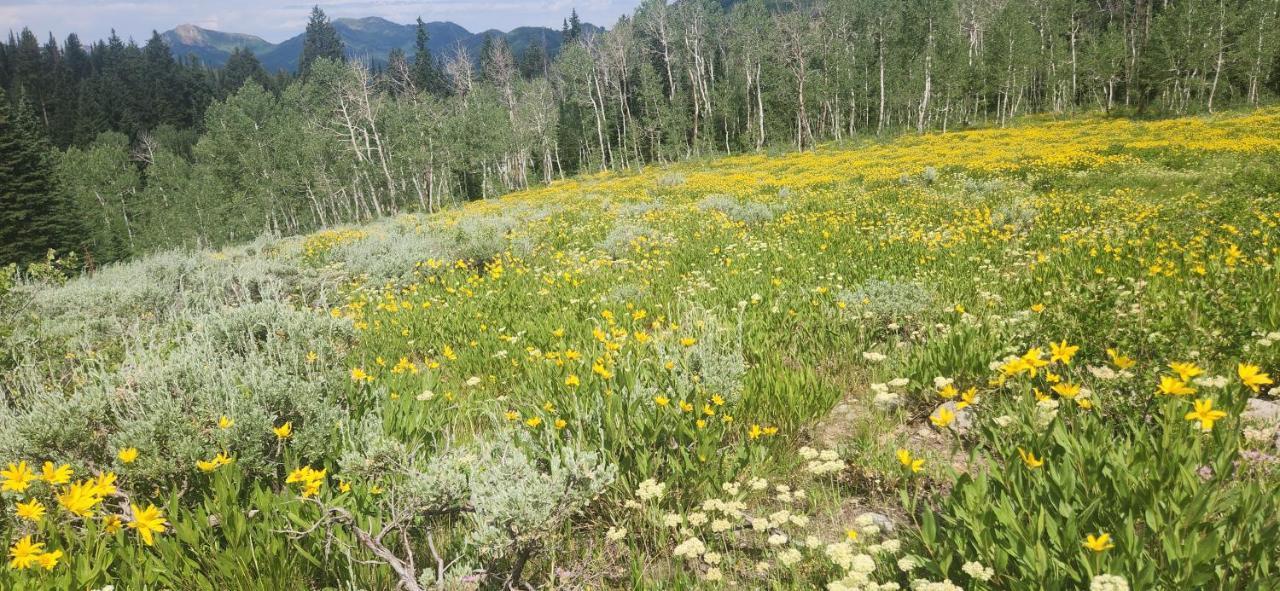 Stunning At Solitude, Steps From Chair Lift, East #103 Brighton Bagian luar foto