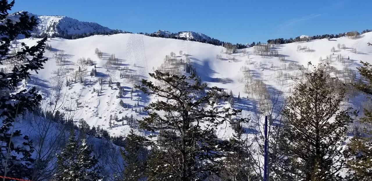 Stunning At Solitude, Steps From Chair Lift, East #103 Brighton Bagian luar foto